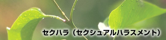 セクハラ（セクシュアルハラスメント）相談